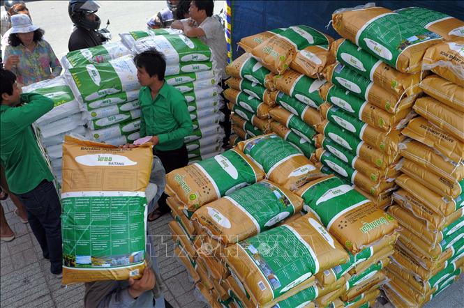 Middle East fragrant rice exports expand